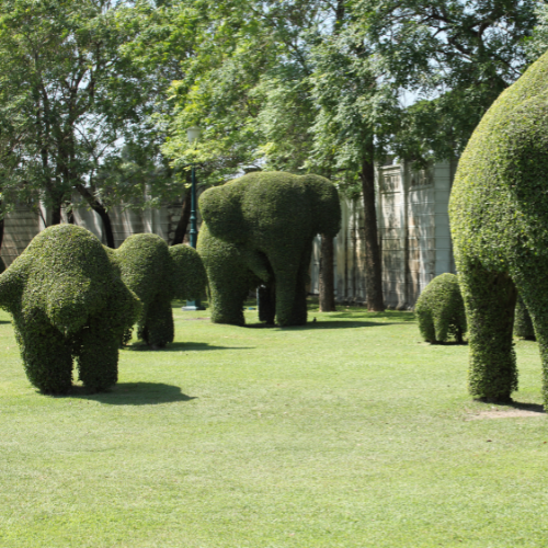 Components of Landscapes and Gardens